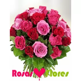 Ramo de Rosas Multicolor