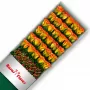 Caja de Rosas Circus 30 Rosas