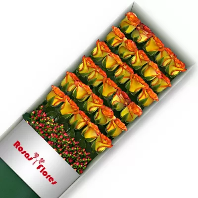 Caja de Rosas Circus 30 Rosas