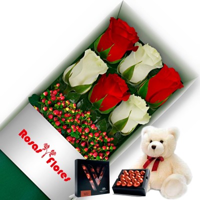 Caja de Rosas Rojas y Blancas 6 Rosas mas Peluche y Chocolate Varsovienne