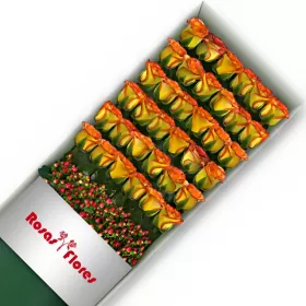 Caja de Rosas Circus 36 Rosas