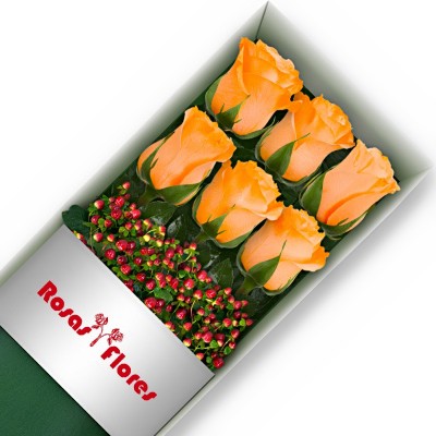 Caja de Rosas Damasco 6 Rosas