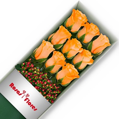 Caja de Rosas Damasco 9 Rosas