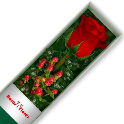 cajas-de-1-Rosa-Roja