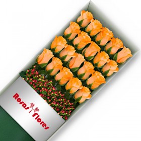 Caja de Rosas Damasco 20 Rosas