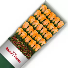 Caja de Rosas Damasco 25 Rosas