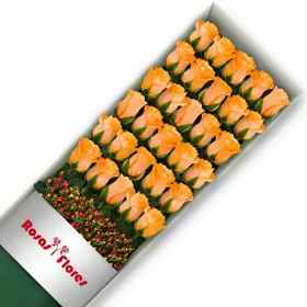 Caja de Rosas Damasco 30 Rosas