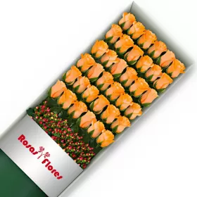 Caja de Rosas Damasco 36 Rosas