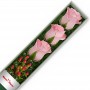 Caja de Rosas Rosadas 3 Rosas