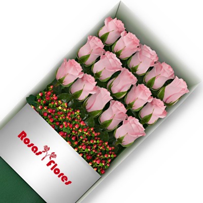 Caja de Rosas Rosadas 15 Rosas