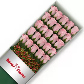 Caja de Rosas Rosadas 25 Rosas