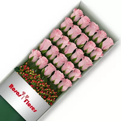 Caja de Rosas Rosadas 25 Rosas