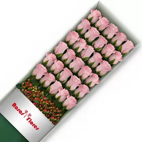 Caja de Rosas Rosadas 30 Rosas