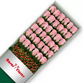 Caja de Rosas Rosadas 36 Rosas