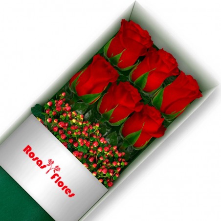 cajas-de-6-Rosa-Roja