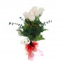 Florero con 6 Rosas Blancas y Peluche