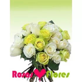 Florero con 24 Rosas Rojas y Blancas