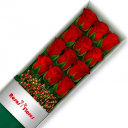 Cajas de 12 Rosas Rojas