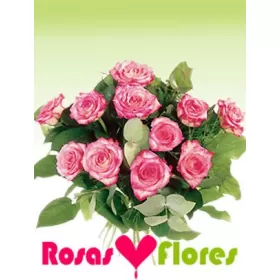 Ramo de Rosas  Rosadas 24 Rosas
