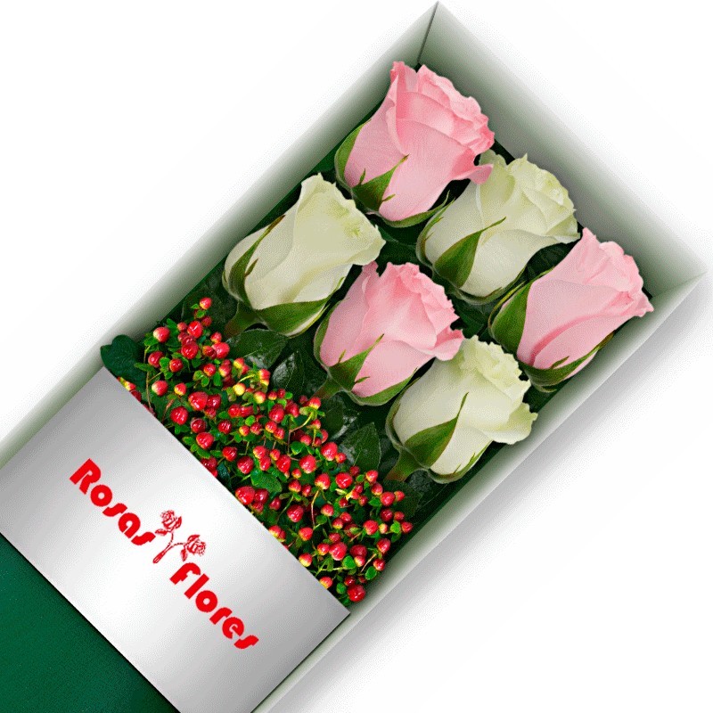 Caja de Rosas Blancas 12 Rosas - Rosas y Flores