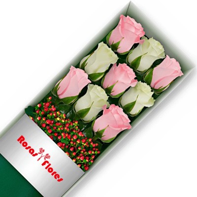 Caja de Rosas Blancas 15 Rosas