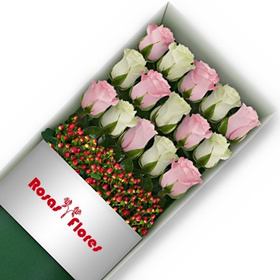 Caja de Rosas Color Mix Rosado Blanco 15 Rosas
