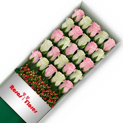 Caja de Rosas Blancas 30 Rosas