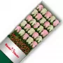 Caja de Rosas Color Mix Rosado Blanco 25 Rosas