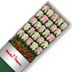 Caja de Rosas Color Mix Rosado Blanco 25 Rosas