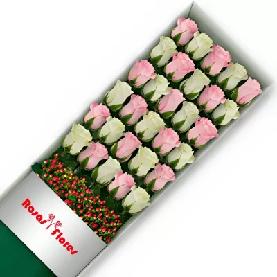 Caja de Rosas Blancas 6 Rosas + Globo y Peluche