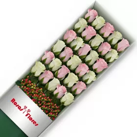 Caja de Rosas Color Mix Rosado Blanco 30 Rosas