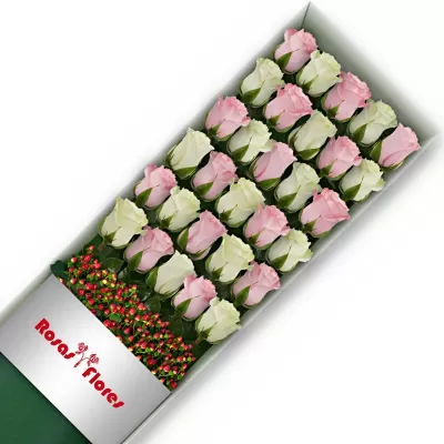 Caja de Rosas Color Mix Rosado Blanco 30 Rosas