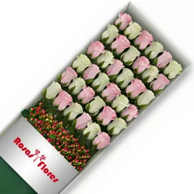 Caja de Rosas Color Mix Rosado Blanco 36 Rosas