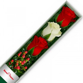 Caja de Rosas Blancas 12 Rosas + Globo y Peluche