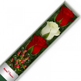 Caja de Rosas Color Mix Rojas Blancas 3 Rosas