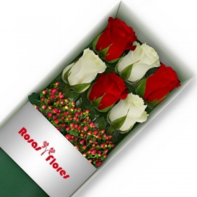 Caja de Rosas Color Mix Rojas Blancas 6 Rosas