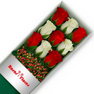 Caja de Rosas Blancas 24 Rosas + Globo y Peluche