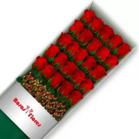 Cajas-de-25-Rosa-Roja