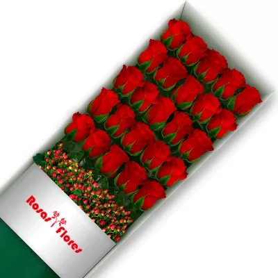 Cajas-de-25-Rosa-Roja