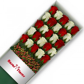 Caja de Rosas Color Mix Rojas Blancas 24 Rosas