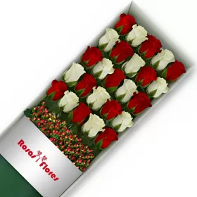 Caja de Rosas Color Mix Rojas Blancas 25 Rosas