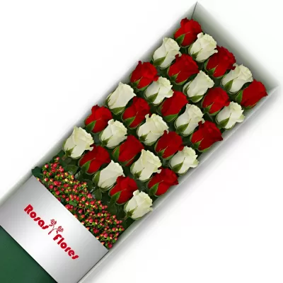 Caja de Rosas Color Mix Rojas Blancas 30 Rosas
