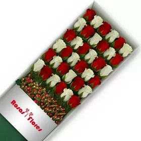 Caja de Rosas Color Mix Rojas Blancas 36 Rosas