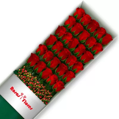 Cajas-de-30-Rosa-Roja