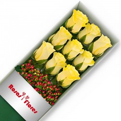Caja de Rosas Amarillas 9 Rosas
