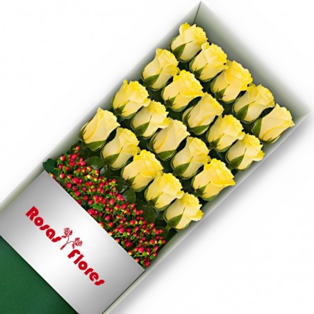 Caja de Rosas Amarillas 20 Rosas