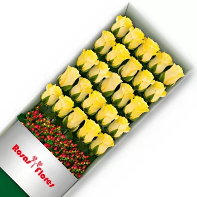 Caja de Rosas Amarillas 25 Rosas