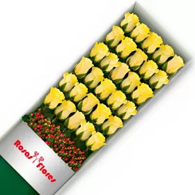 Caja de Rosas Amarillas 30 Rosas