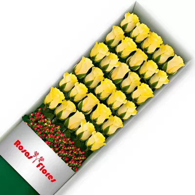 Caja de Rosas Amarillas 30 Rosas
