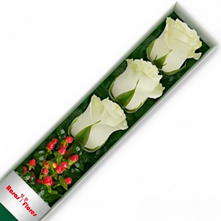 Caja de Rosas Blancas 3 Rosas